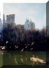 CentralPark1.jpg (9188 bytes)