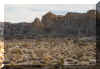 DesertCamp.jpg (15612 bytes)