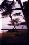 Kihei2.jpg (18170 bytes)