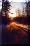 Road.jpg (14686 bytes)