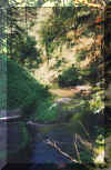 SilverCreek2.jpg (24389 bytes)