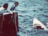 Description: Description: Description: Jaws-quint hooper.jpg