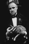Description: Description: Description: Godfather w Cat.jpg